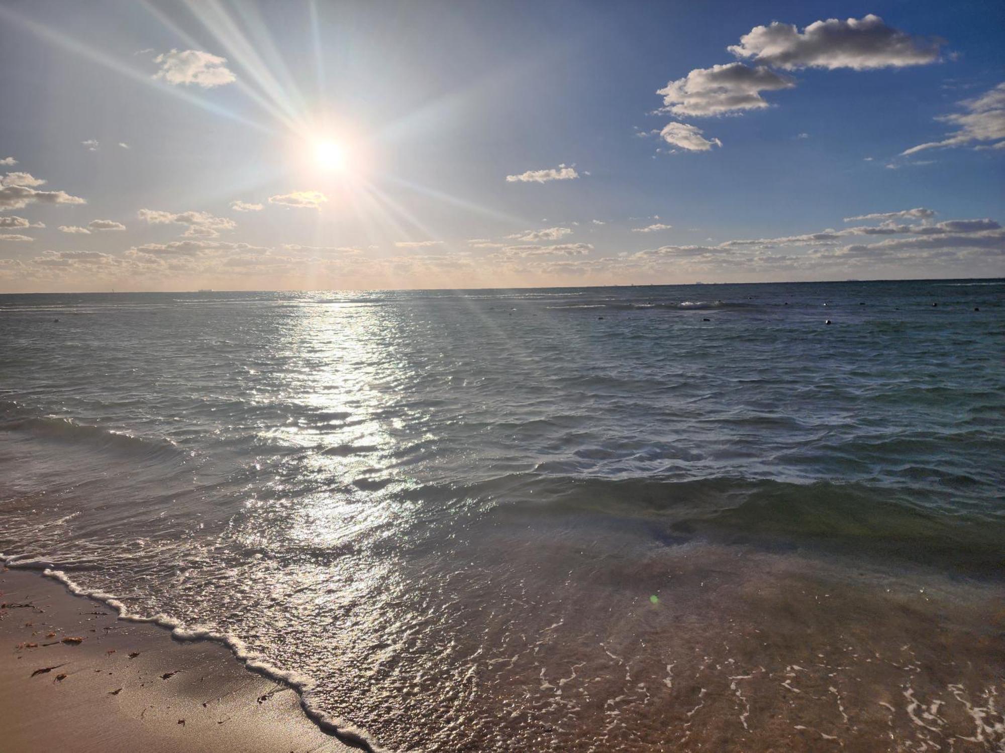 Stunning 1 Bdrm Condo Gym-Pool 10 Min To The Beach & Quinta Av Playa del Carmen Esterno foto